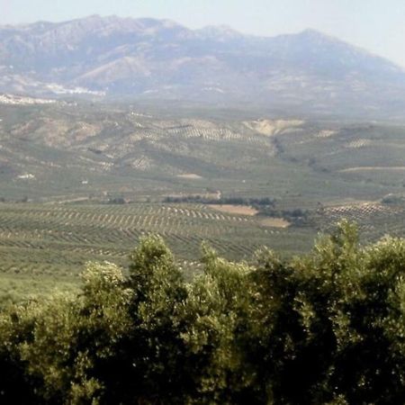 ビリャカリリョ Cortijo El Derramaderoヴィラ エクステリア 写真